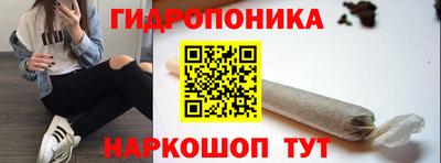 прущие крисы Сланцы