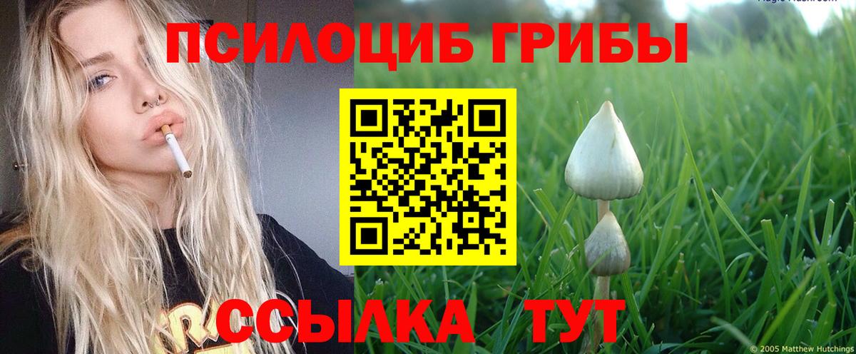 Псилоцибиновые грибы ЛСД  Вход с VPN  Сердобск 